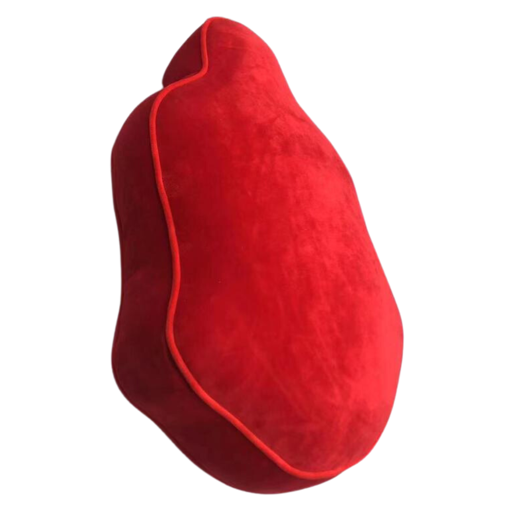 DST Crest Decorative Pillow