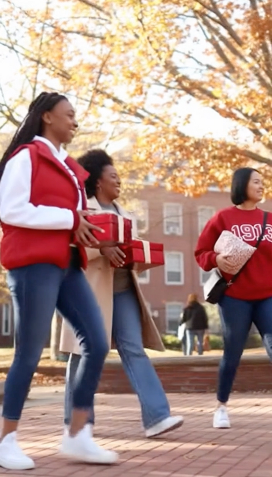 Delta Sigma Theta Greek Pillow 1913 – Crimson & Cream